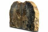 Tall Petrified Wood Bookends - Sweet Home, Oregon #338274-2